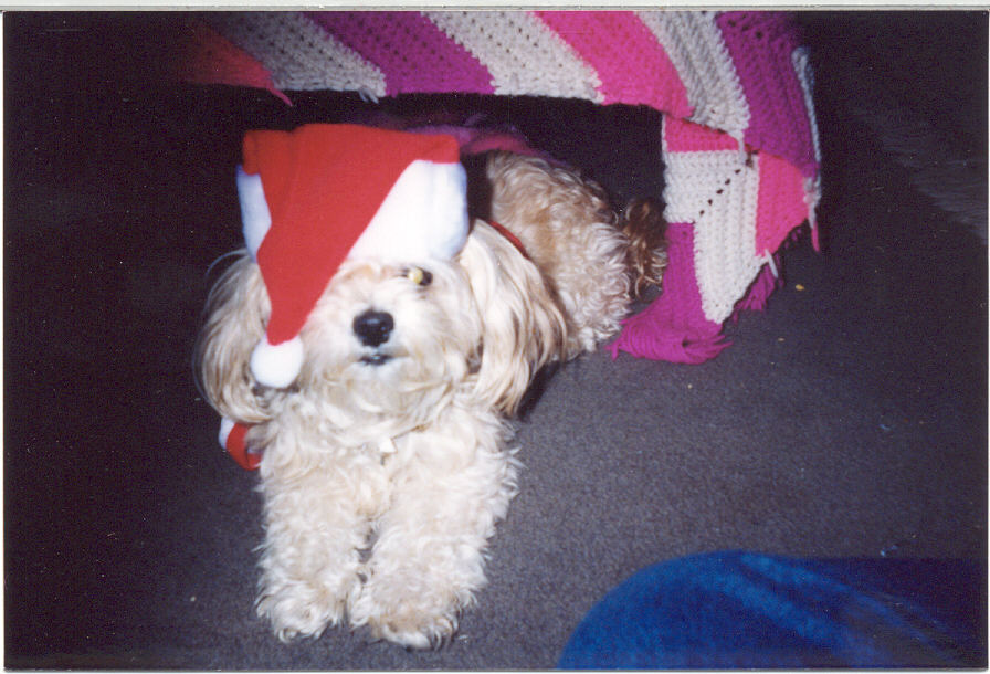 taffy.jpg